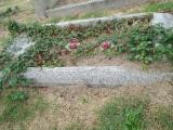 image of grave number 582159